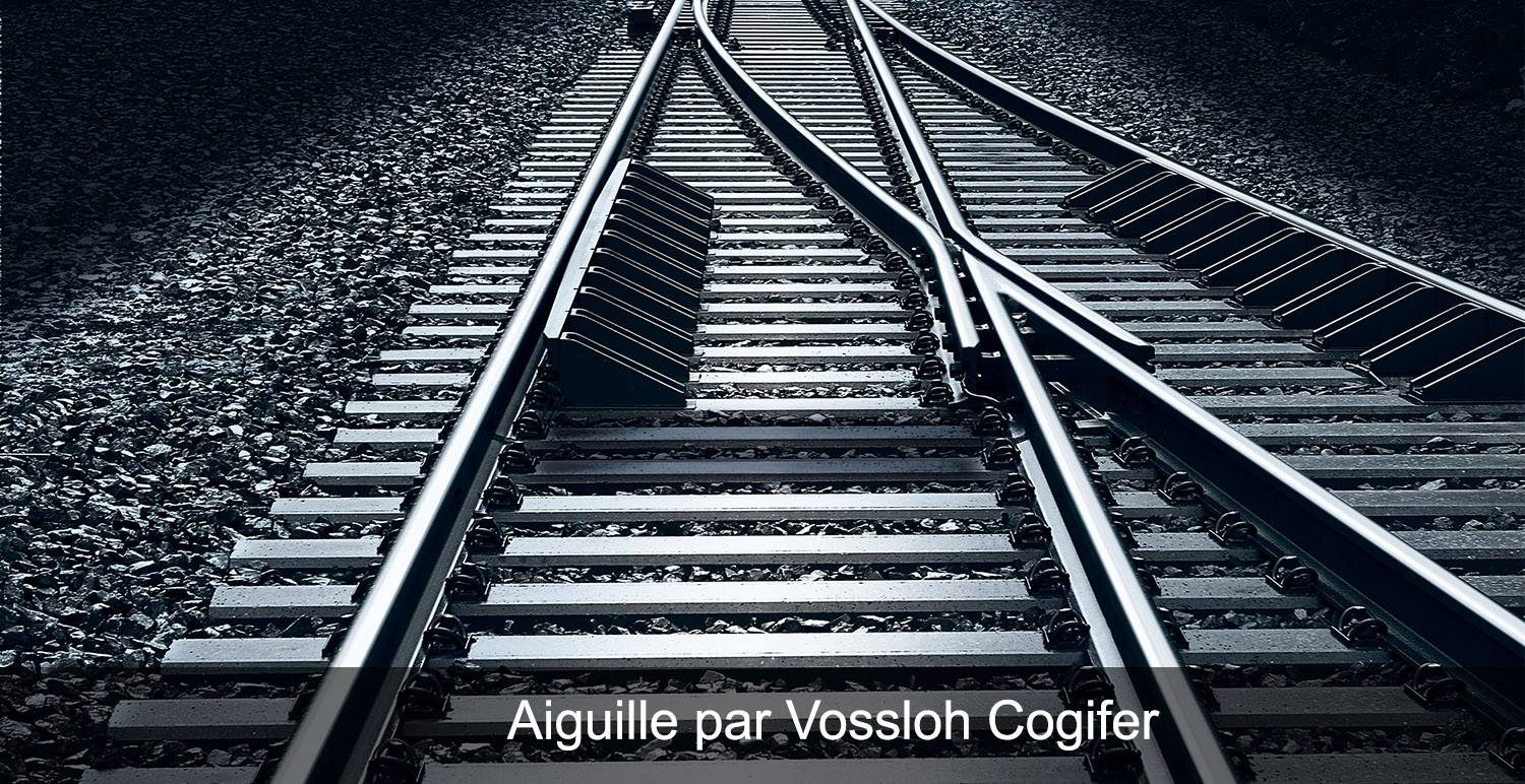 Aiguille par Vossloh Cogifer